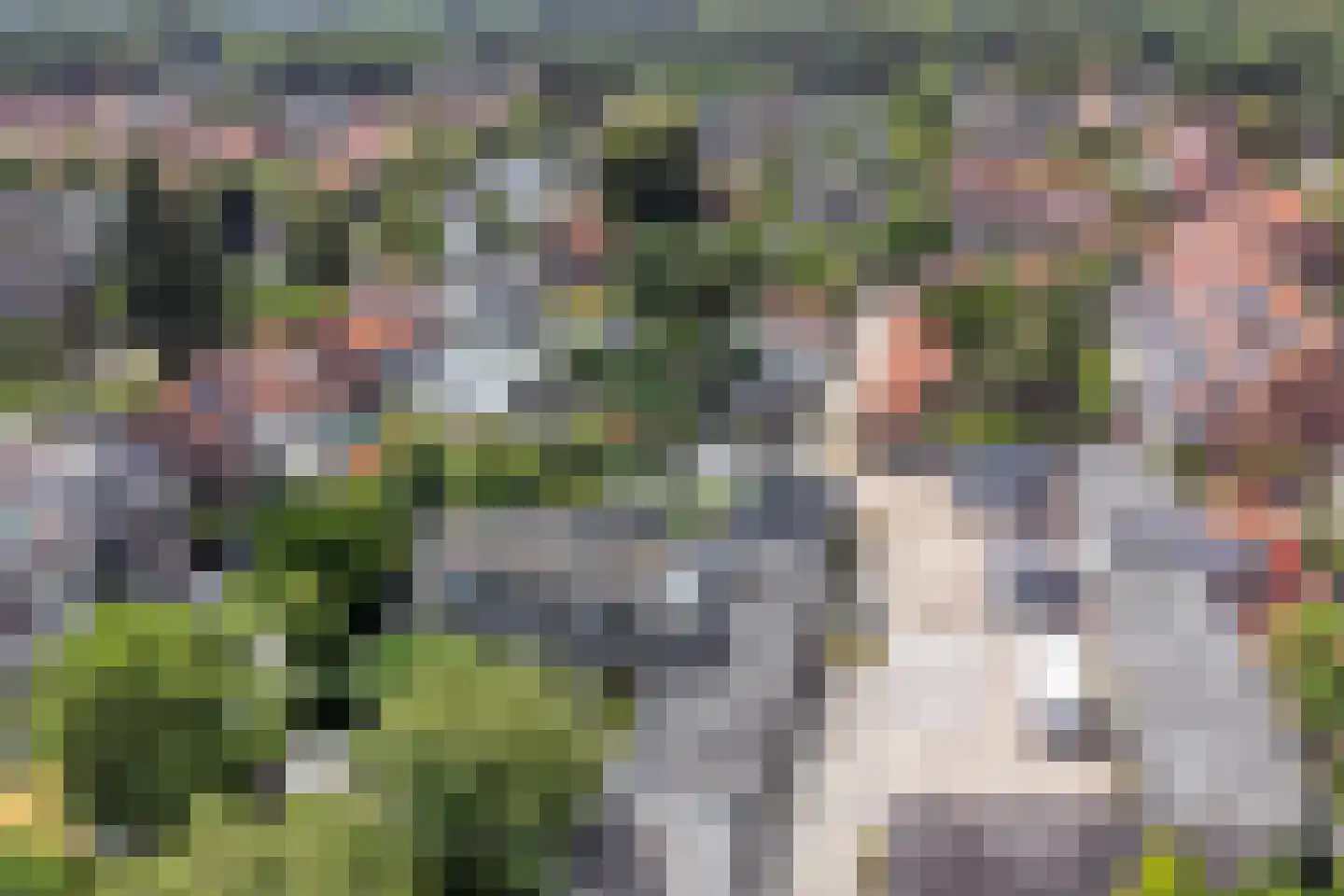 Badlaan 29 A Muiderberg thumbnail 74