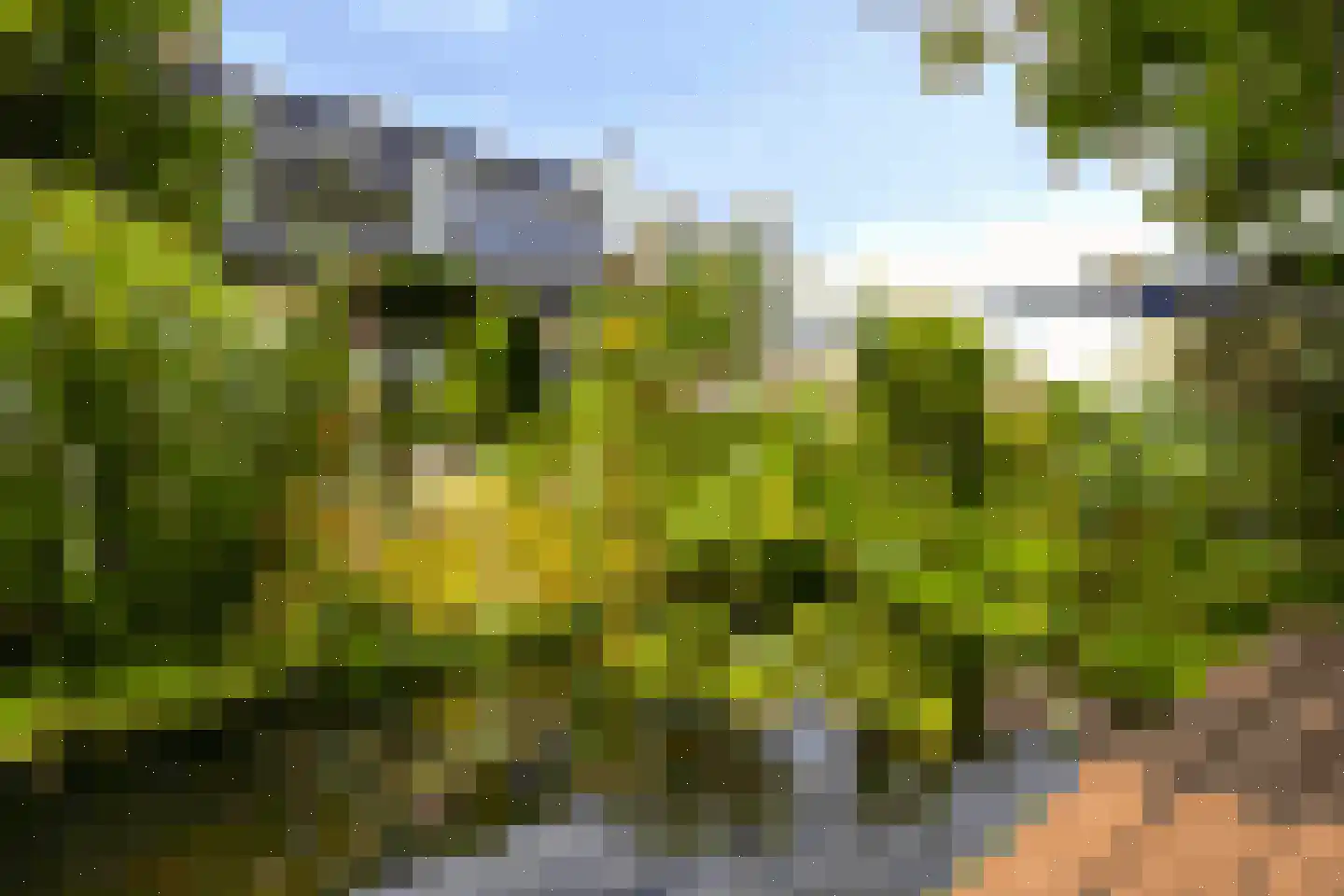 Badlaan 29 A Muiderberg thumbnail 8