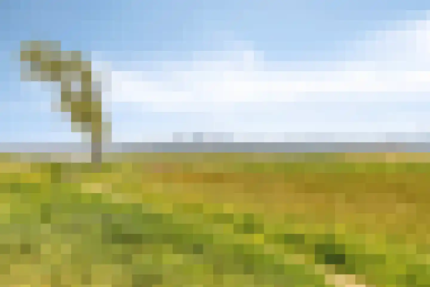 Badlaan 29 A Muiderberg thumbnail 93