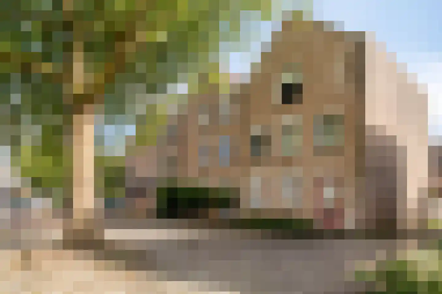 Badlaan 29 Amstelveen thumbnail 18