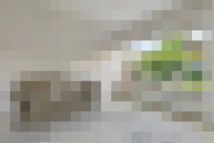 Badlaan 30 Surhuisterveen thumbnail 13