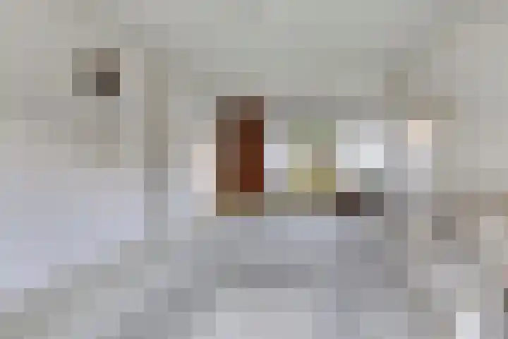 Badlaan 30 Surhuisterveen thumbnail 15