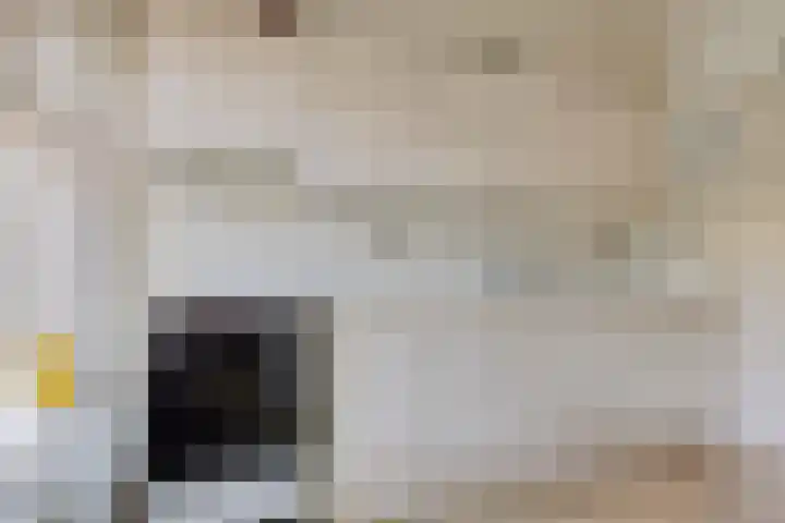 Badlaan 30 Surhuisterveen thumbnail 17