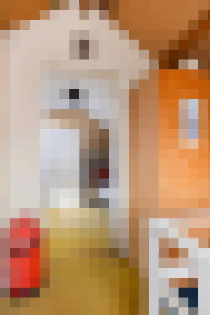 Badlaan 30 Surhuisterveen thumbnail 37