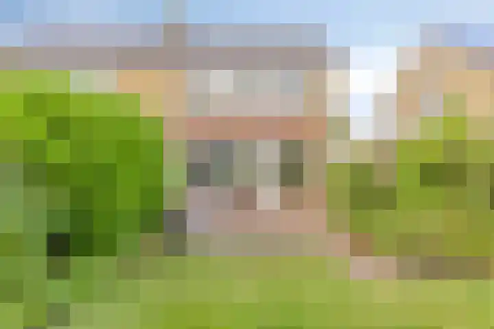 Badlaan 30 Surhuisterveen thumbnail 40