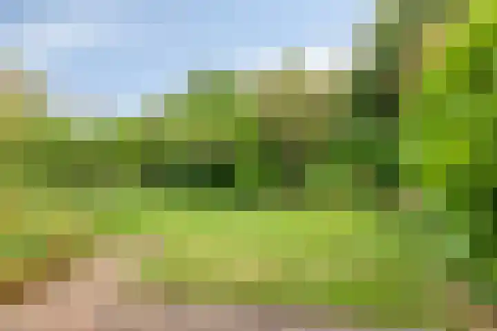 Badlaan 30 Surhuisterveen thumbnail 41