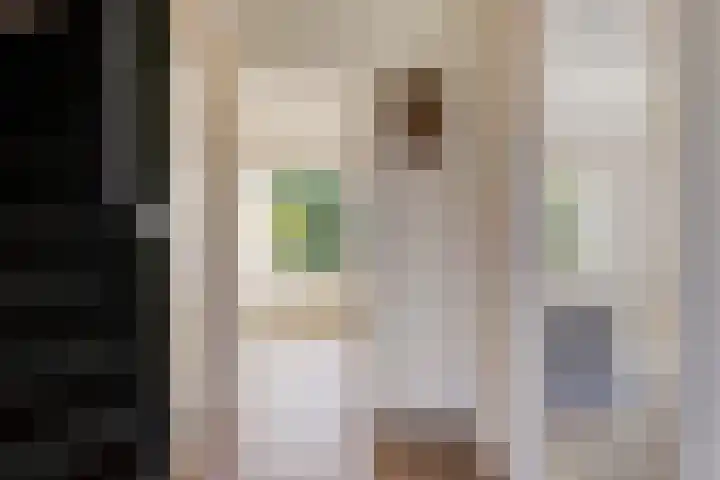 Badlaan 30 Surhuisterveen thumbnail 7
