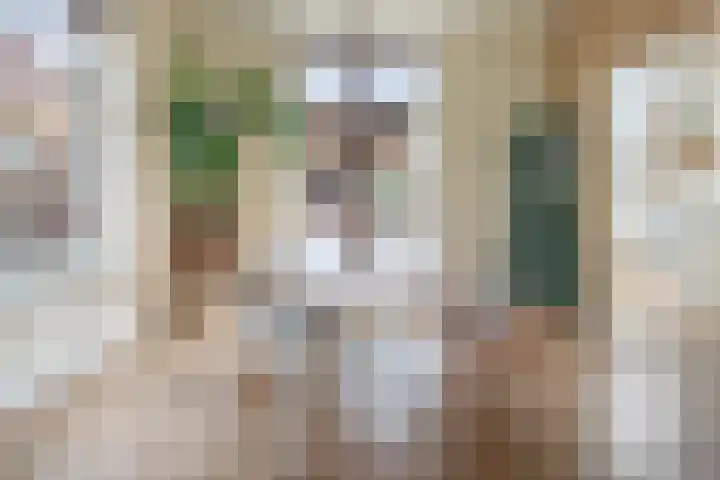 Badlaan 4 Muiderberg thumbnail 12
