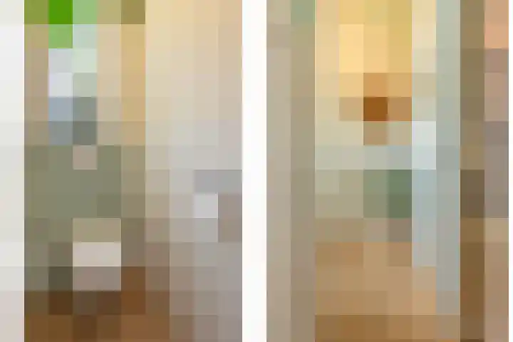 Badlaan 4 Muiderberg thumbnail 4