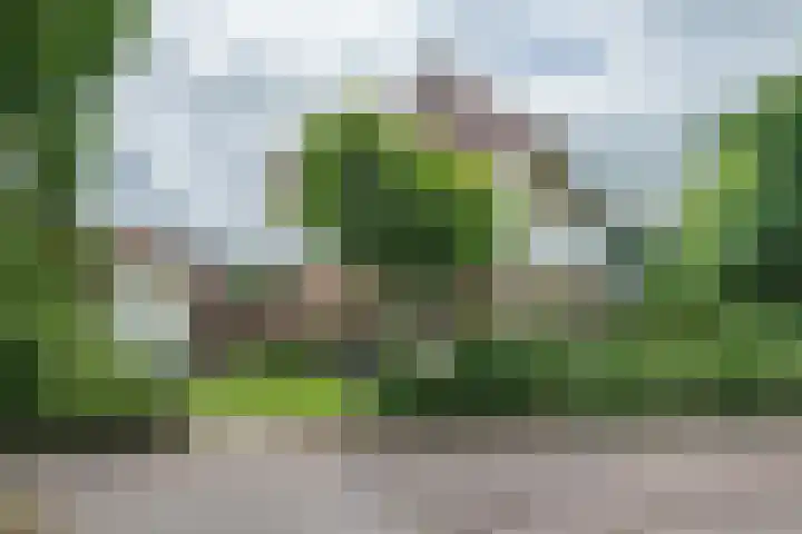 Badlaan 4 Muiderberg thumbnail 44