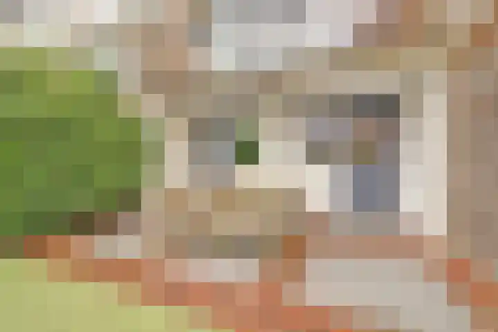 Badorfstraat 27 Wijk bij Duurstede thumbnail 32