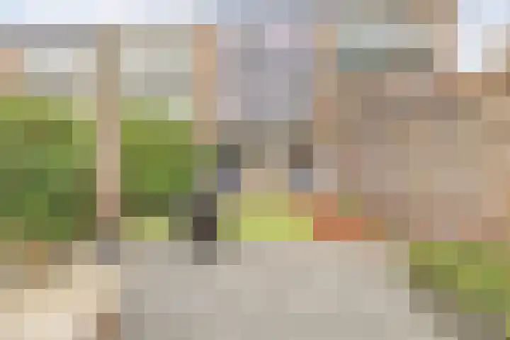 Badorfstraat 27 Wijk bij Duurstede thumbnail 33