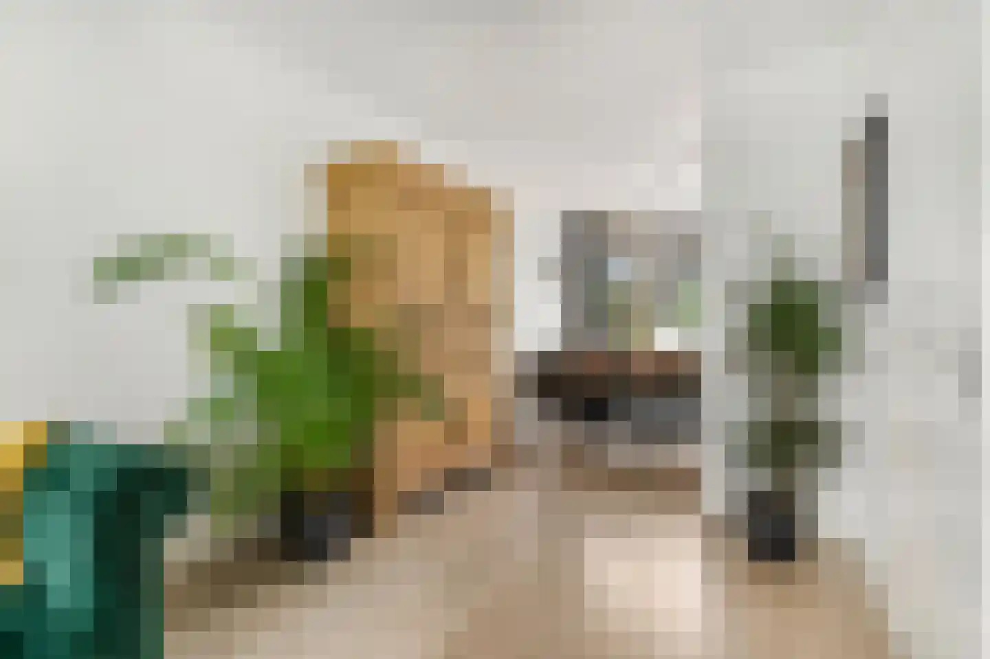 Badorfstraat 61 Wijk bij Duurstede thumbnail 10
