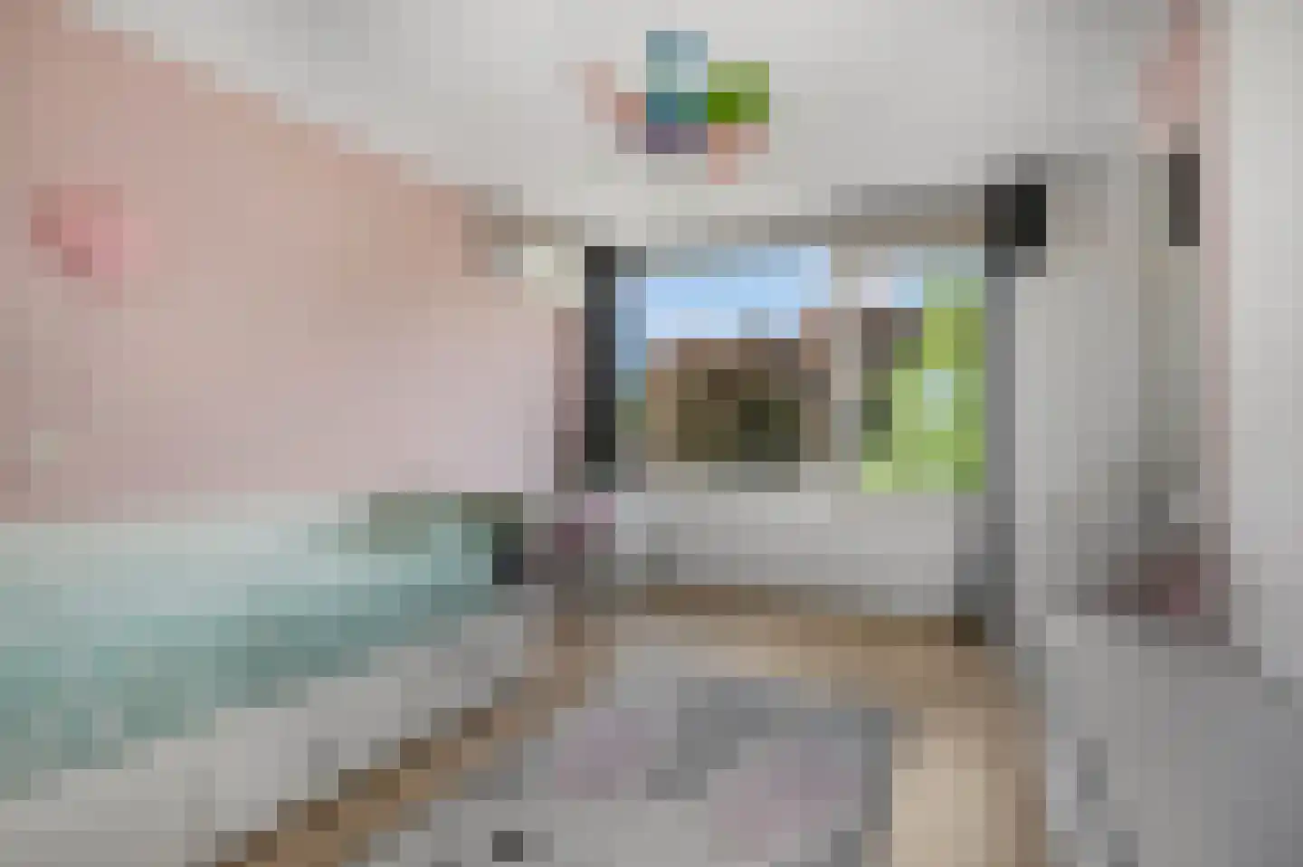 Badorfstraat 61 Wijk bij Duurstede thumbnail 18