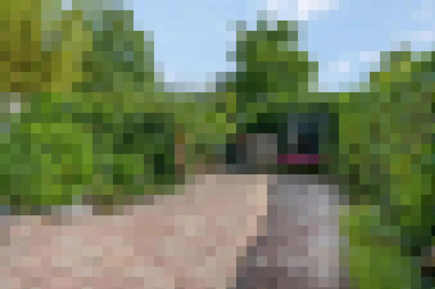 Badorfstraat 61 Wijk bij Duurstede thumbnail 32