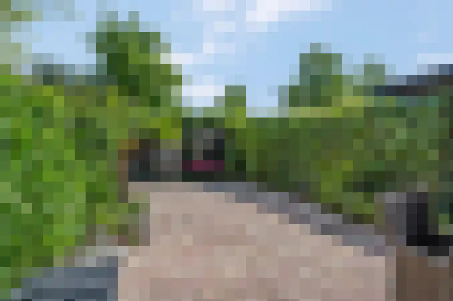 Badorfstraat 61 Wijk bij Duurstede thumbnail 33