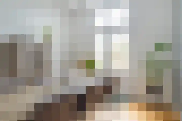 Badstraat 2 Utrecht thumbnail 20