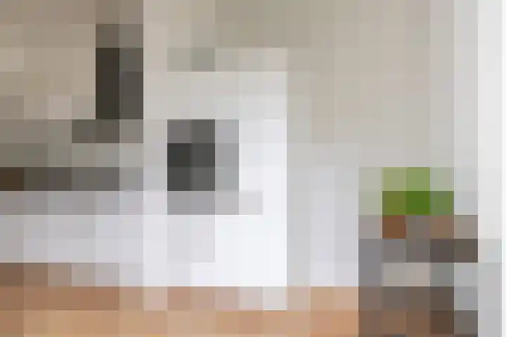 Badstraat 2 Utrecht thumbnail 25