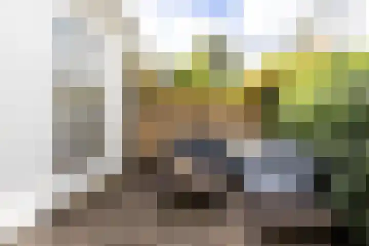Badstraat 2 Utrecht thumbnail 32