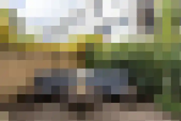 Badstraat 2 Utrecht thumbnail 34