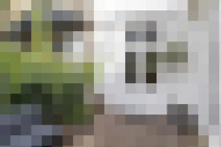 Badstraat 2 Utrecht thumbnail 37