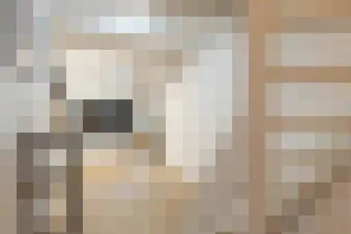 Badstraat 2 Utrecht thumbnail 42