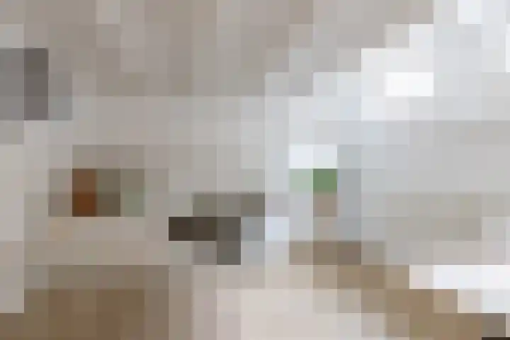 Badstraat 2 Utrecht thumbnail 43