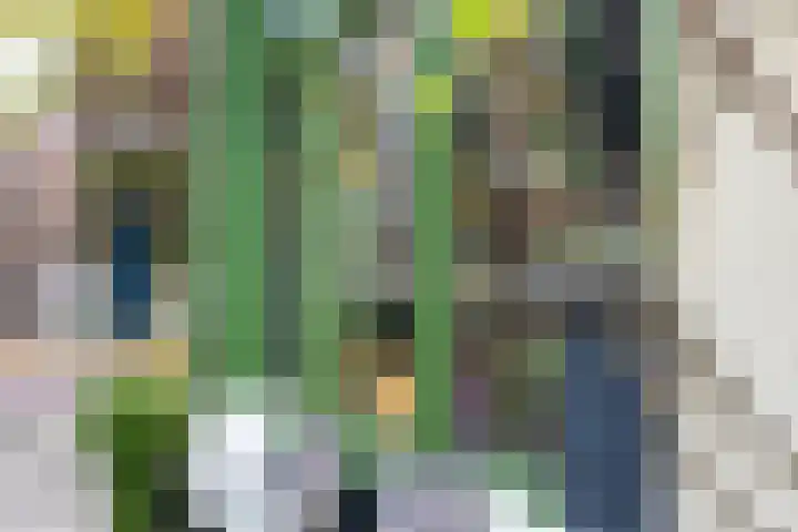 Badstraat 2 Utrecht thumbnail 49