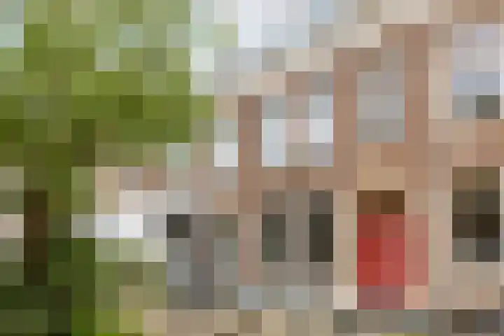Badstraat 2 Utrecht thumbnail 6