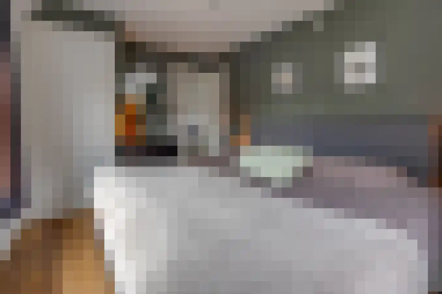 Badstraat 40 Musselkanaal thumbnail 20