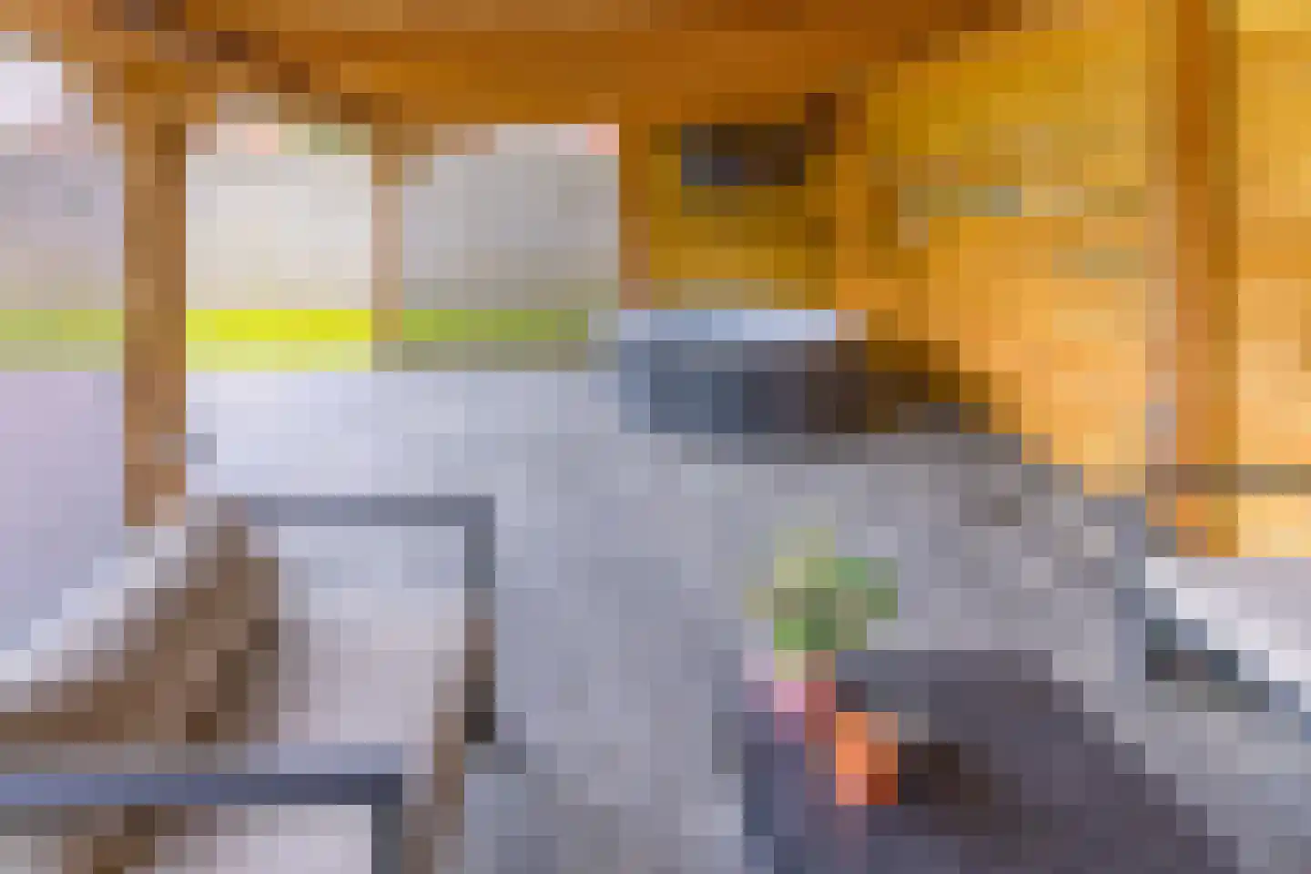 Badstraat 40 Musselkanaal thumbnail 32
