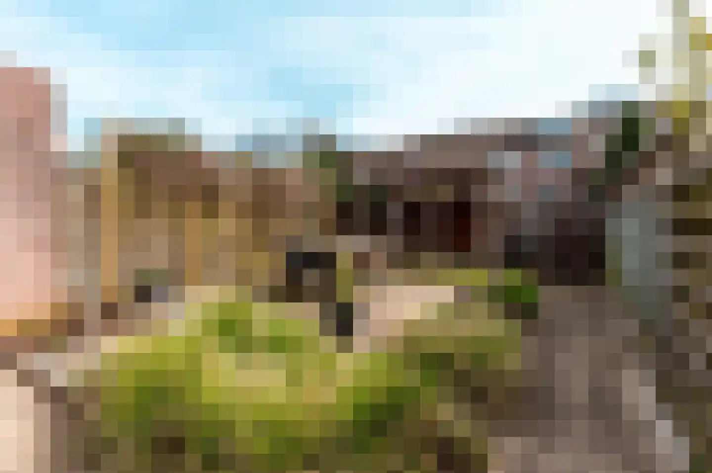 Badweg 10 Harderwijk thumbnail 34
