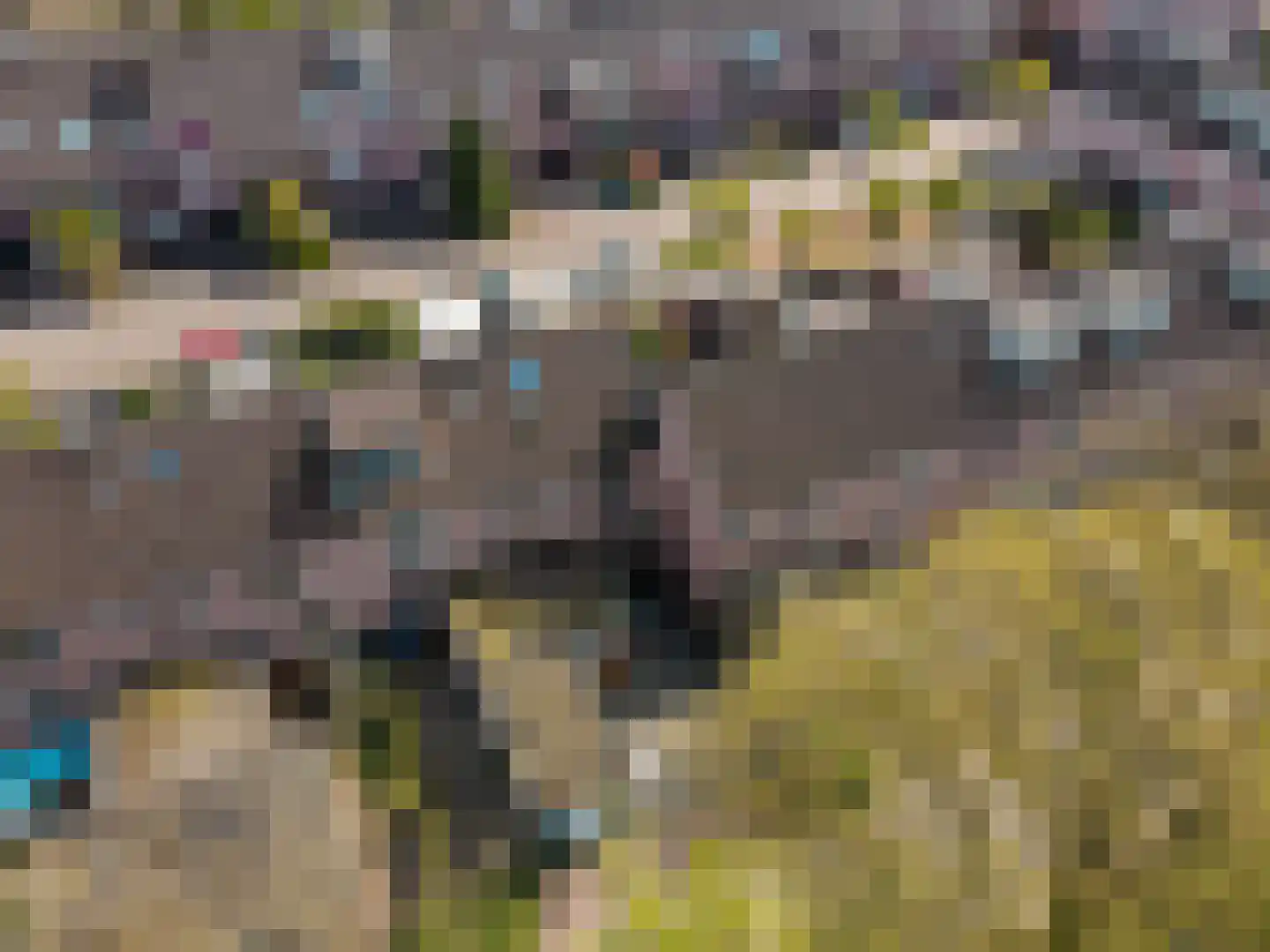 Badweg 10 Harderwijk thumbnail 47