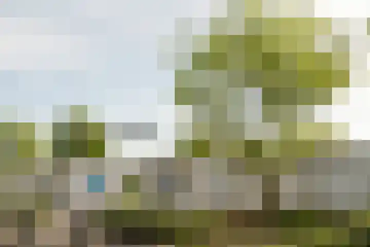 Badweg 11 Dordrecht thumbnail 56
