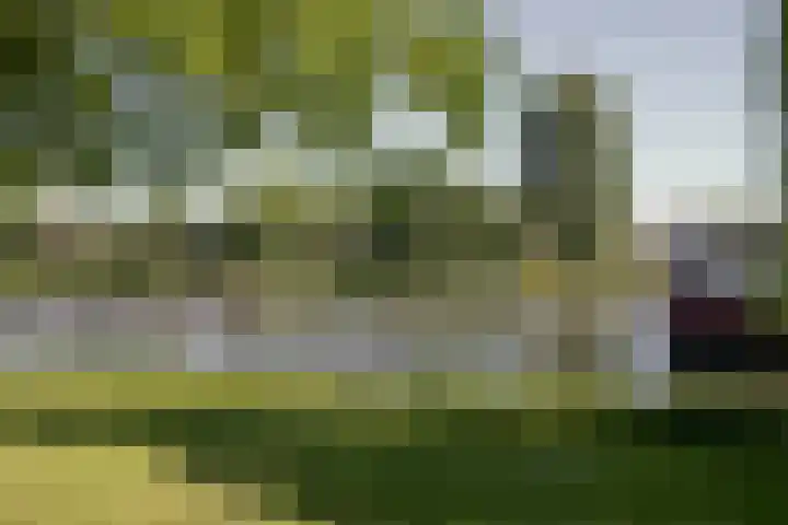 Badweg 11 Dordrecht thumbnail 60