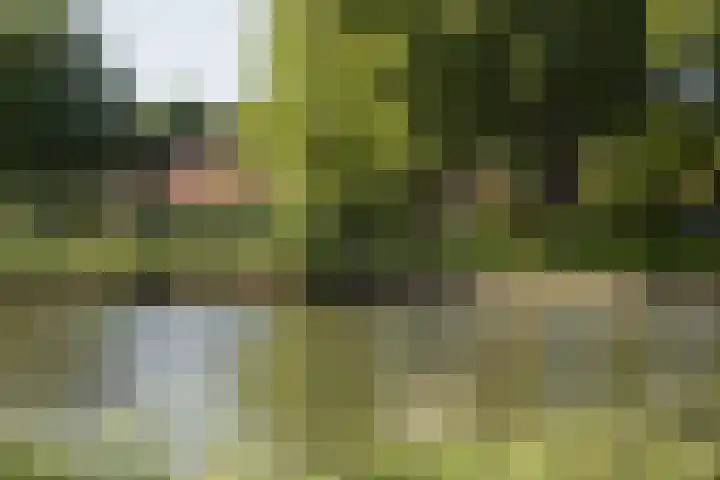 Badweg 11 Dordrecht thumbnail 7