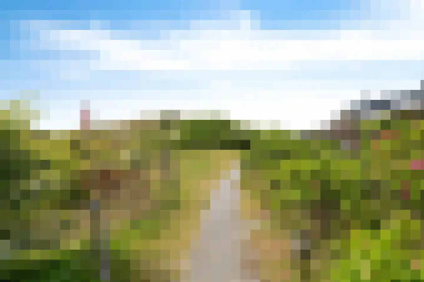 Badweg 123 Schiermonnikoog thumbnail 21