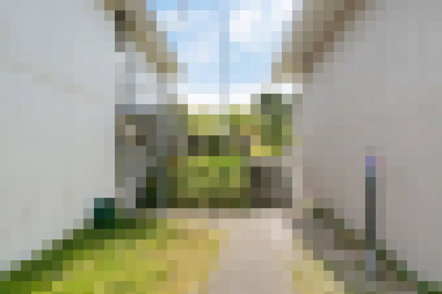 Badweg 123 Schiermonnikoog thumbnail 23
