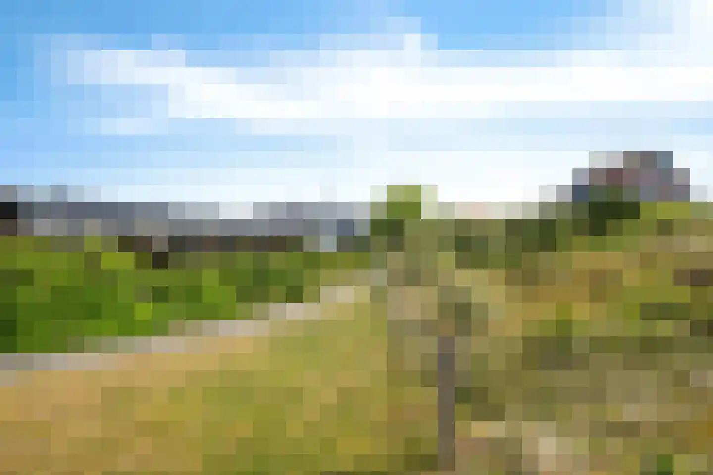 Badweg 123 Schiermonnikoog thumbnail 24