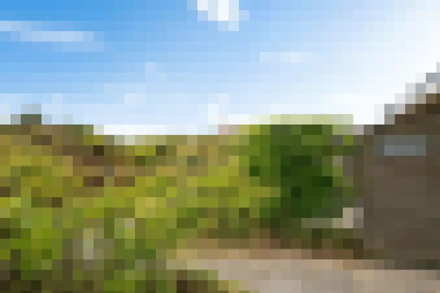 Badweg 123 Schiermonnikoog thumbnail 27
