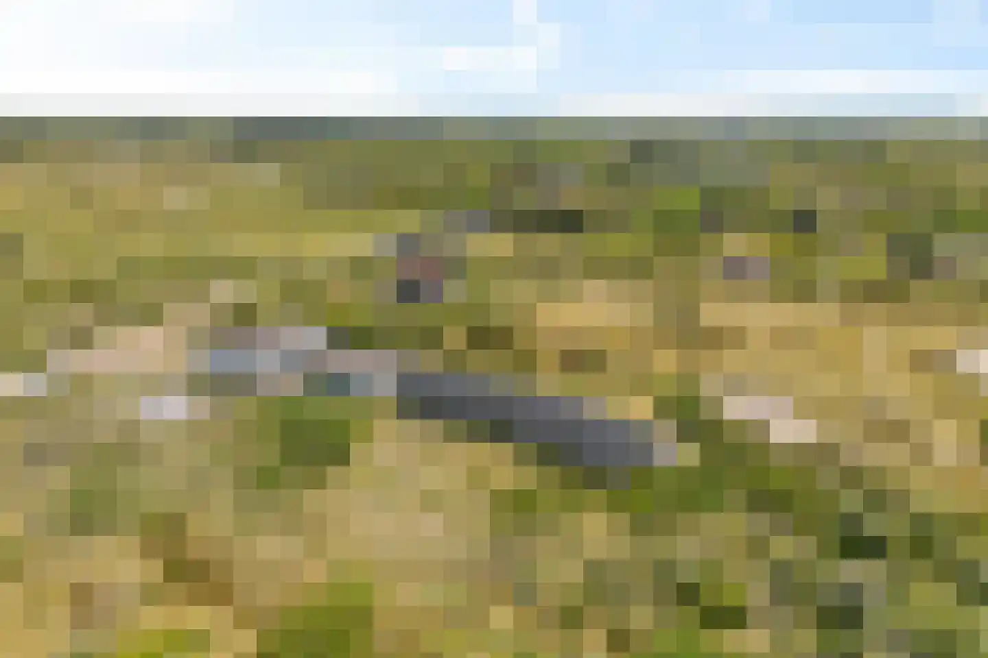 Badweg 123 Schiermonnikoog thumbnail 29