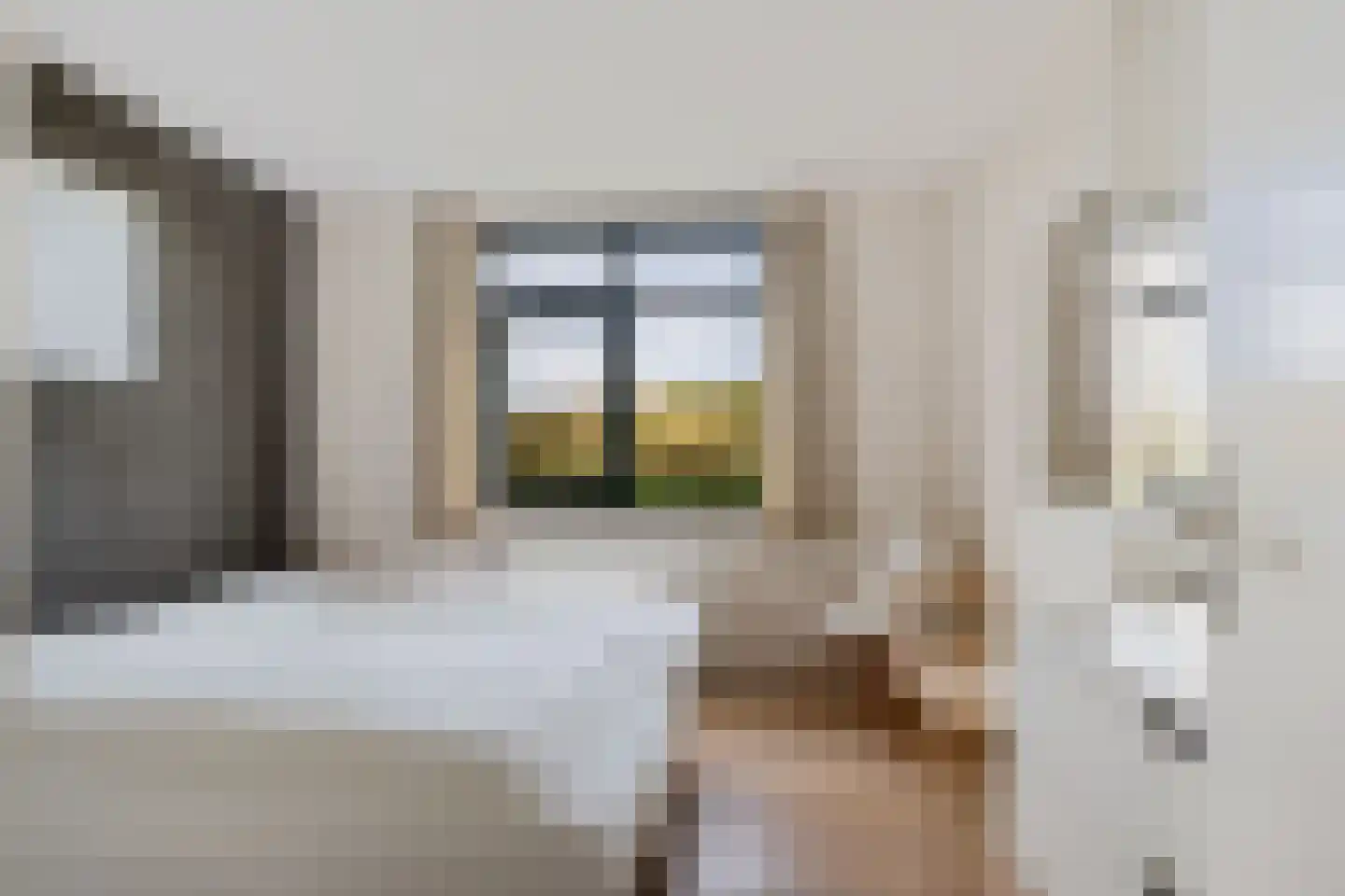 Badweg 123 Schiermonnikoog thumbnail 4