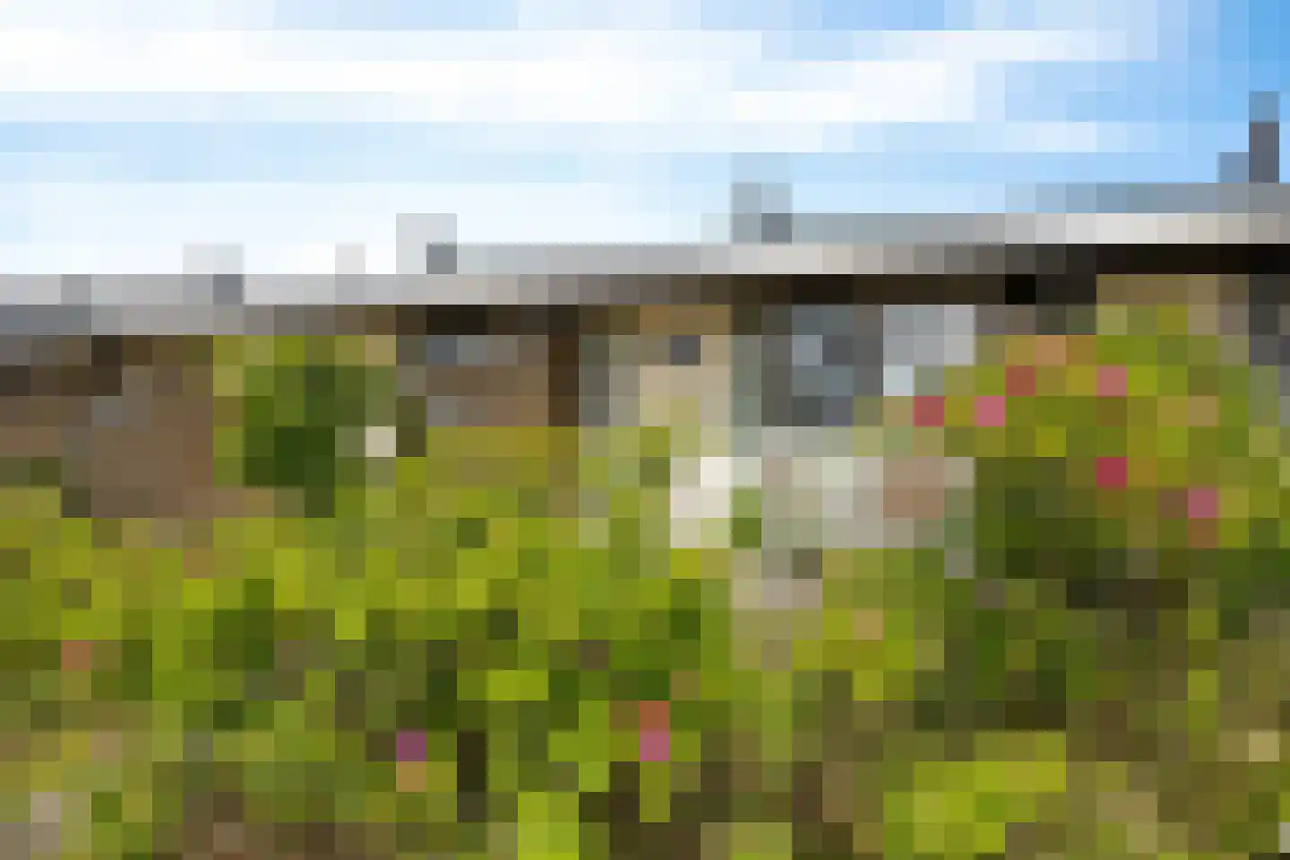Badweg 123 Schiermonnikoog thumbnail 5