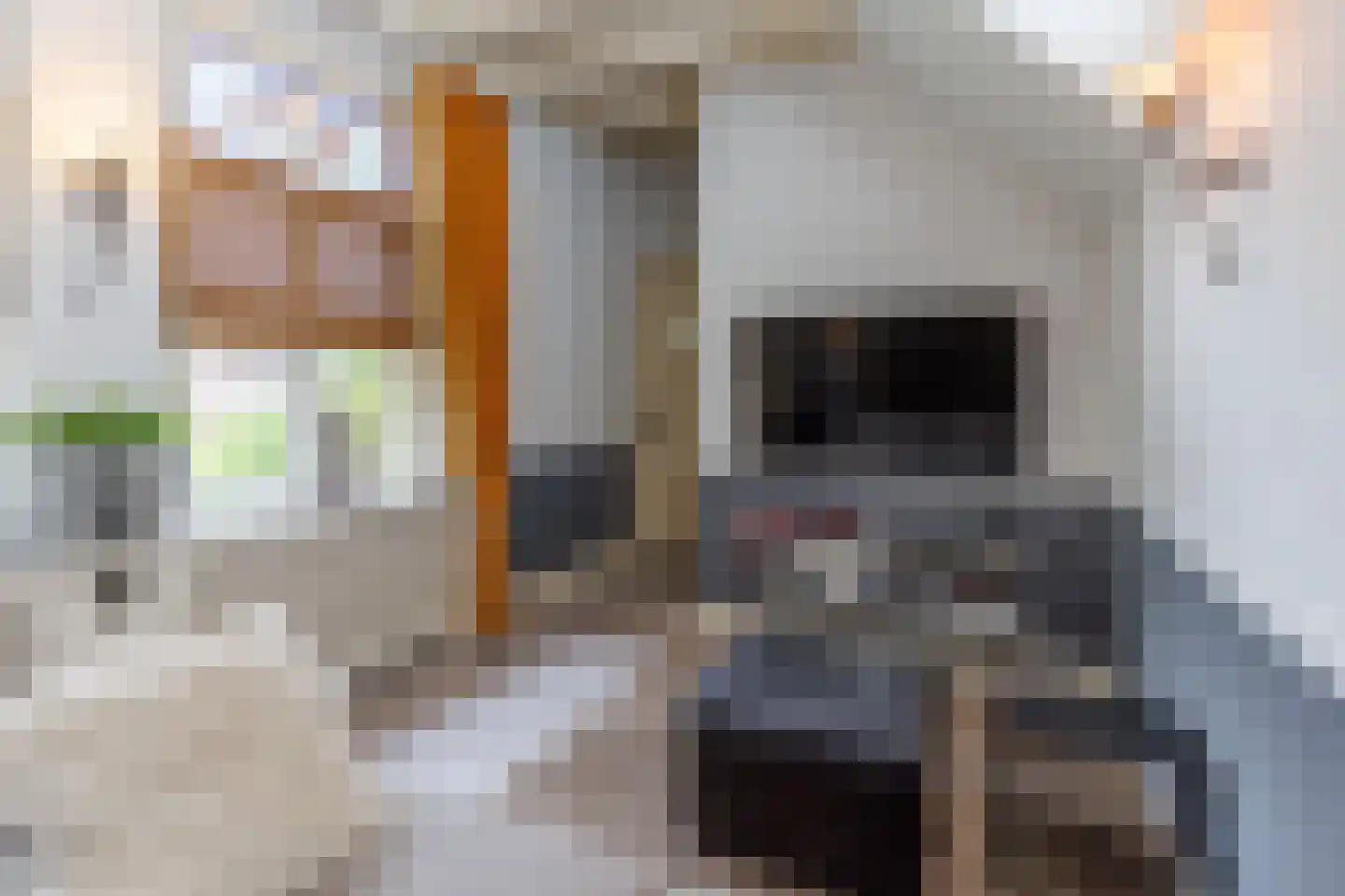 Badweg 16 Almelo thumbnail 21