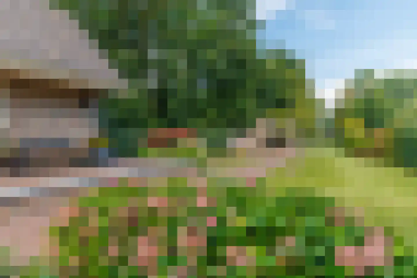 Badweg 16 Almelo thumbnail 56