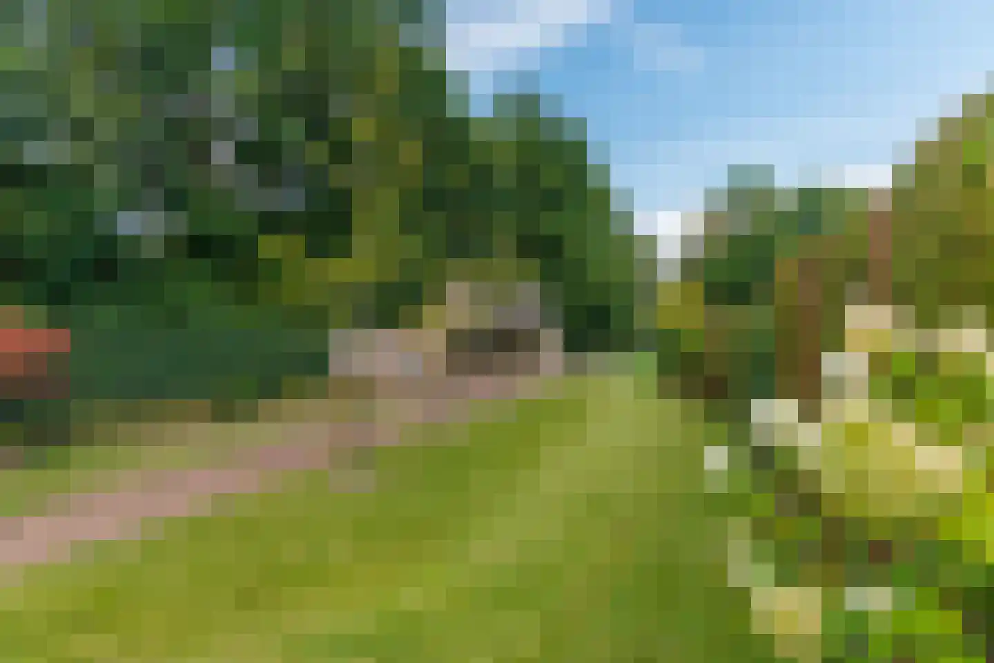 Badweg 16 Almelo thumbnail 57
