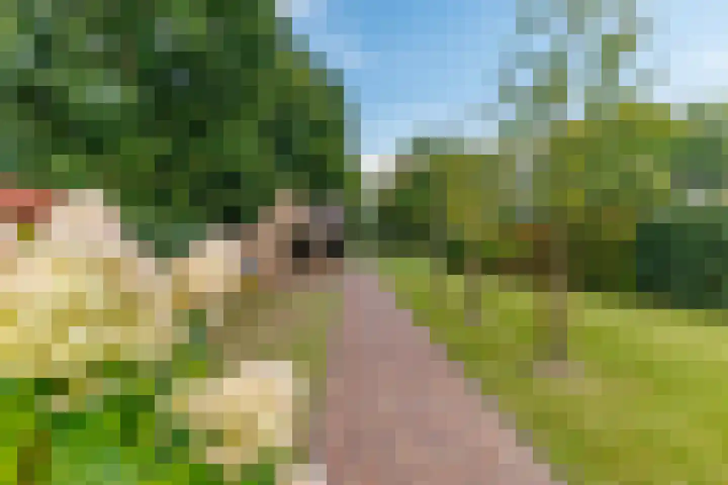 Badweg 16 Almelo thumbnail 58