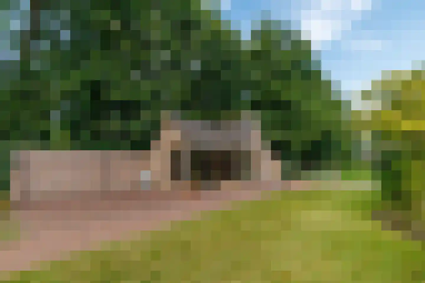 Badweg 16 Almelo thumbnail 59