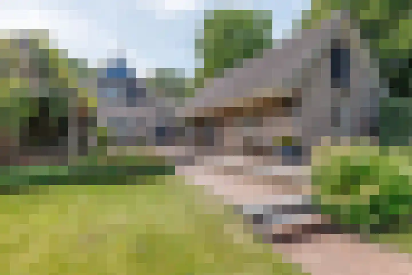 Badweg 16 Almelo thumbnail 61