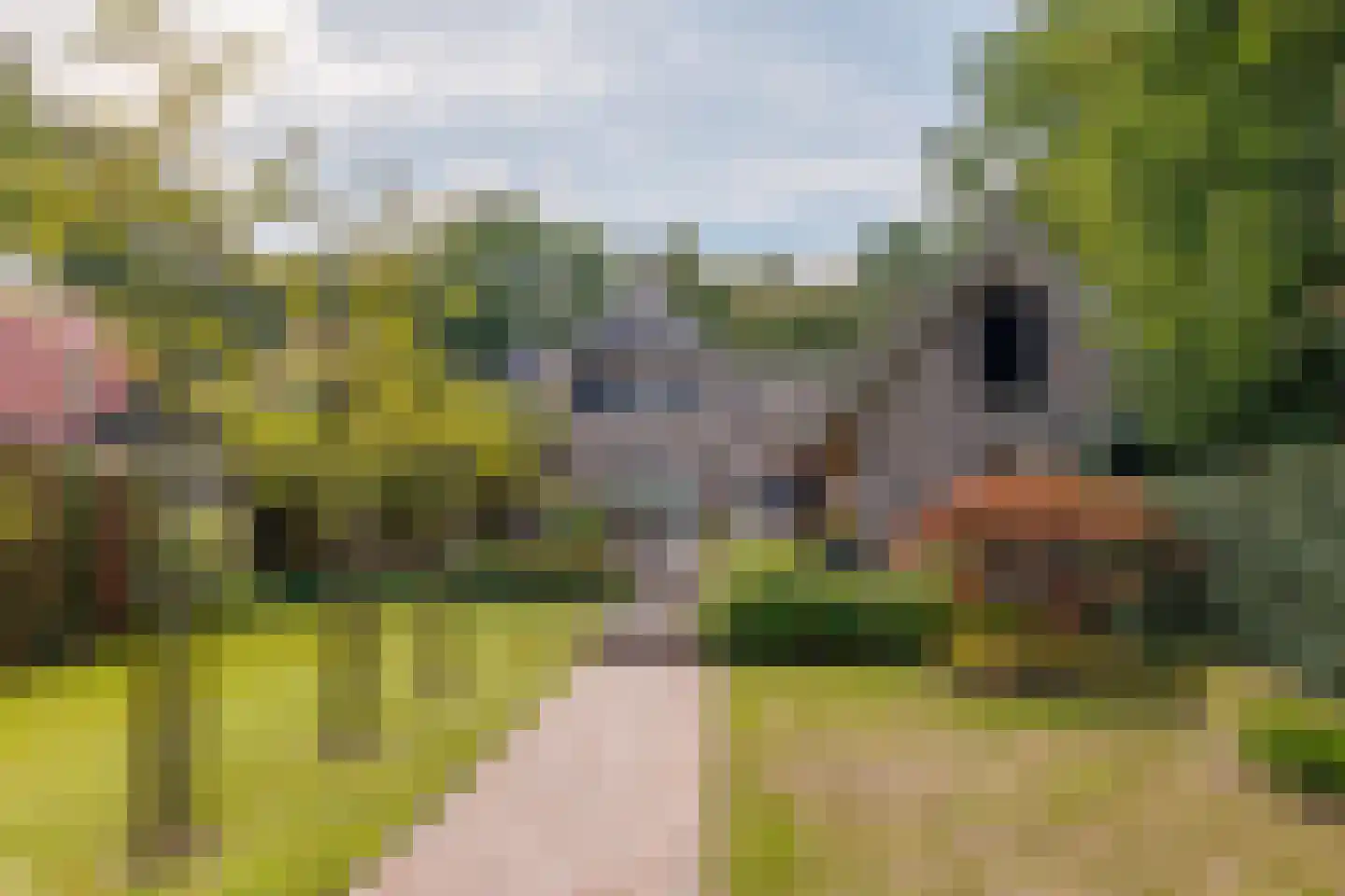 Badweg 16 Almelo thumbnail 64